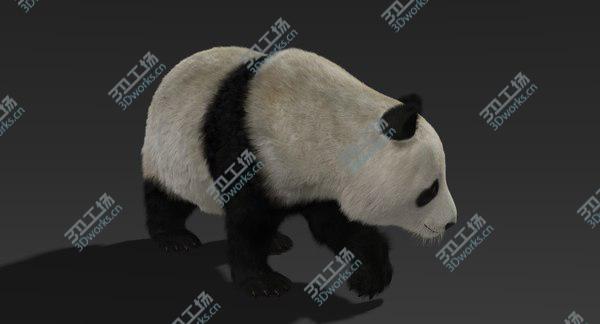 images/goods_img/20210312/3D Giant Panda (Fur) Rigged/3.jpg